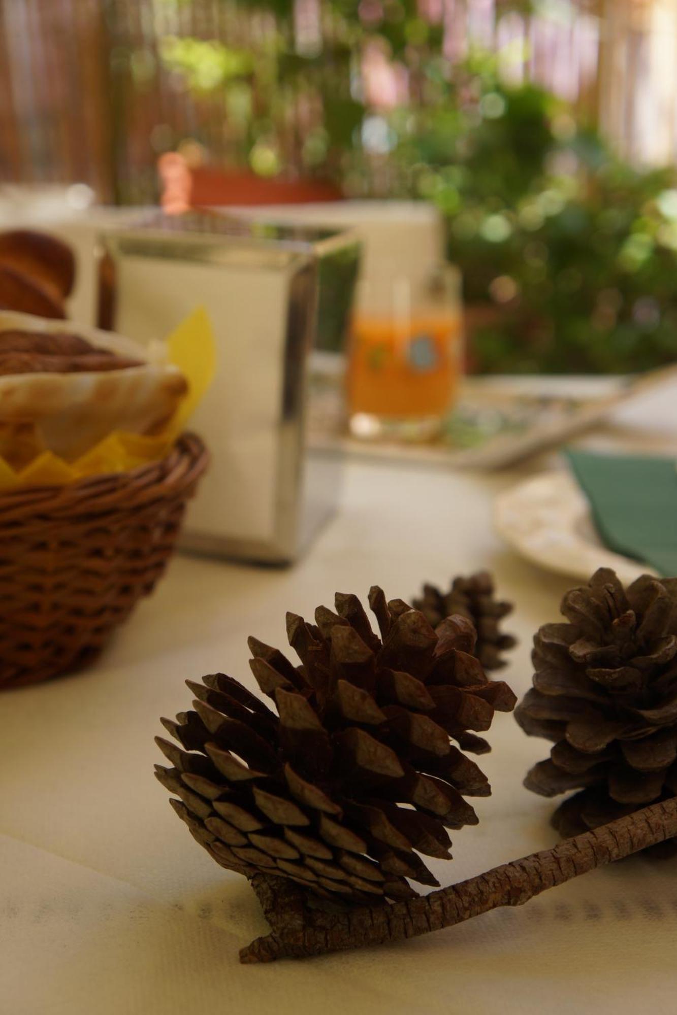 Santa Caterina Da Siena B&B Катанія Екстер'єр фото